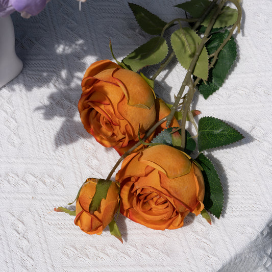 3 Orange Empress Roses3头皇妃玫瑰-橘色